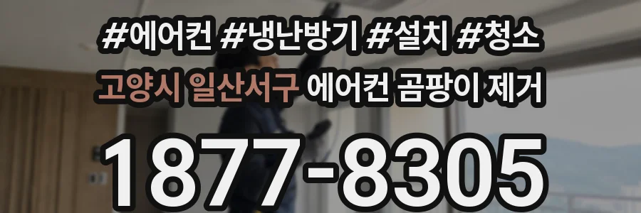 고양시 일산서구 에어컨 곰팡이 제거