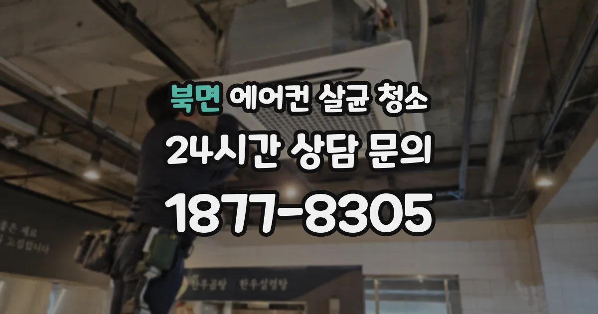 북면 에어컨 살균 청소