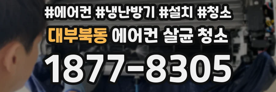 대부북동 에어컨 살균 청소