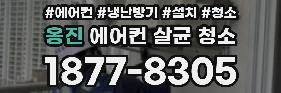 옹진 에어컨 살균 청소