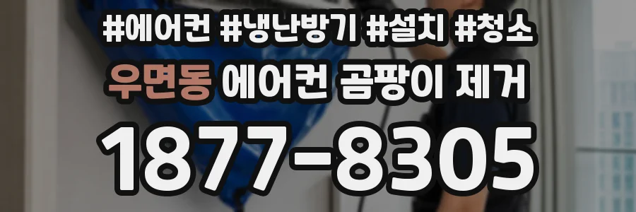 우면동 에어컨 곰팡이 제거