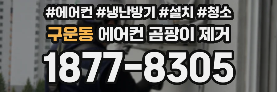 구운동 에어컨 곰팡이 제거