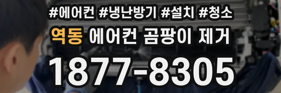 역동 에어컨 곰팡이 제거