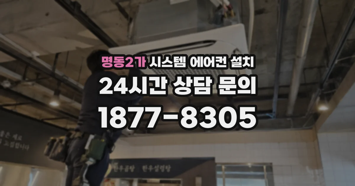 명동2가 시스템 에어컨 설치