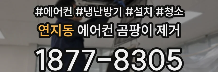 연지동 에어컨 곰팡이 제거