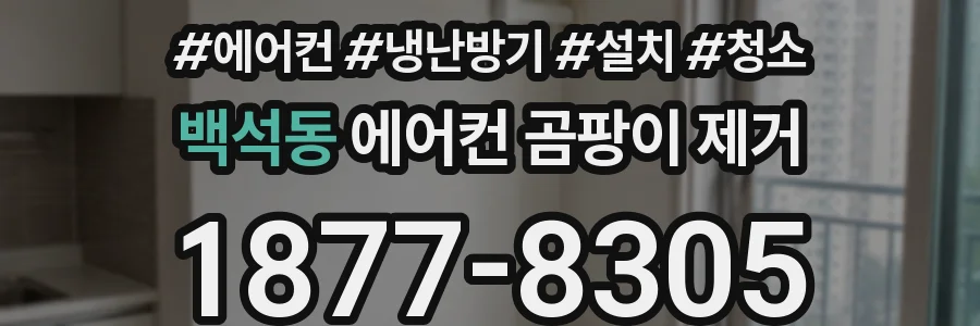백석동 에어컨 곰팡이 제거