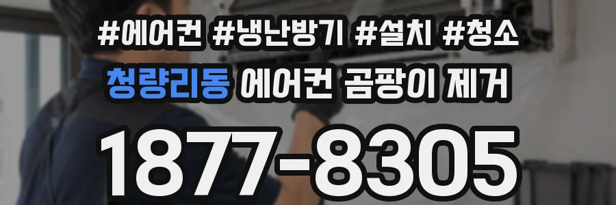 청량리동 에어컨 곰팡이 제거