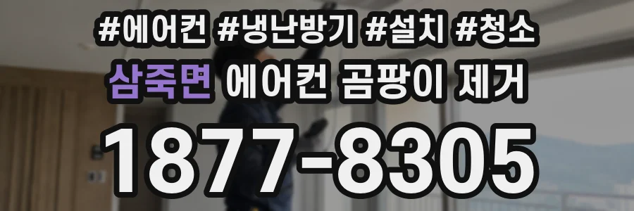 삼죽면 에어컨 곰팡이 제거