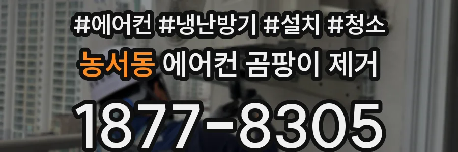 농서동 에어컨 곰팡이 제거
