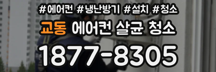교동 에어컨 살균 청소