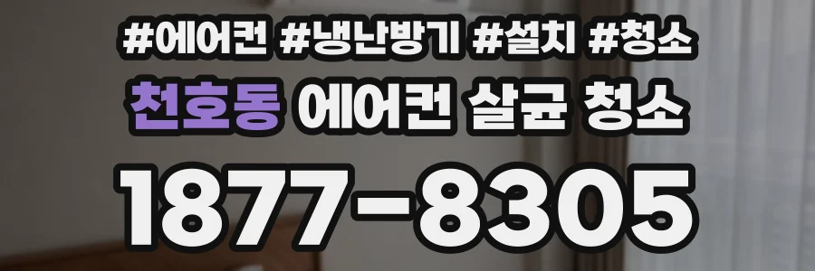 천호동 에어컨 살균 청소