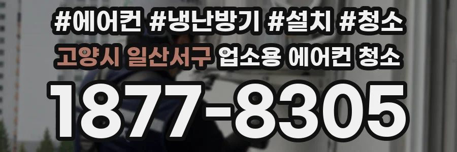 고양시 일산서구 업소용 에어컨 청소
