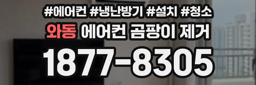 와동 에어컨 곰팡이 제거