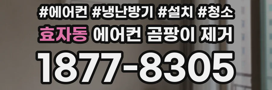 효자동 에어컨 곰팡이 제거