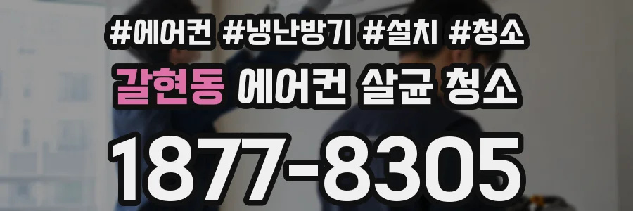 갈현동 에어컨 살균 청소