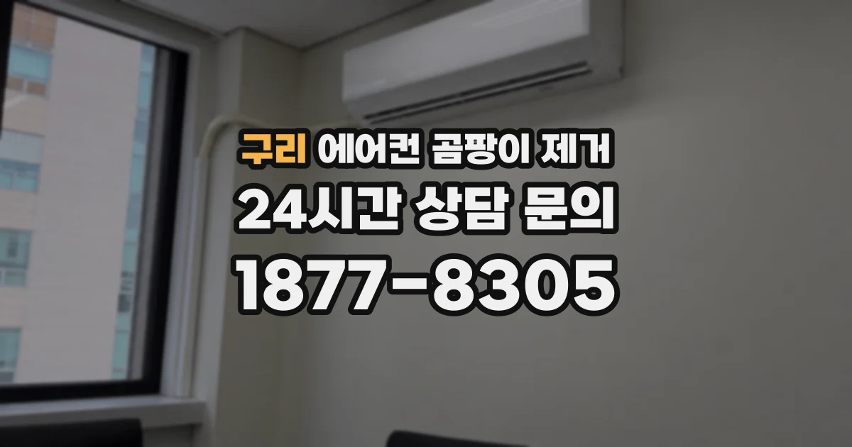 구리 에어컨 곰팡이 제거