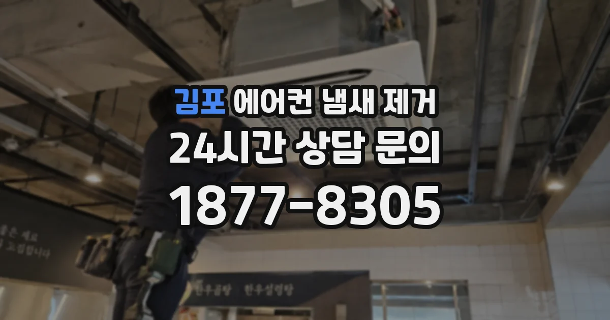 김포 에어컨 냄새 제거