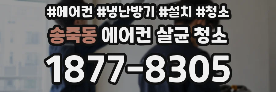 송죽동 에어컨 살균 청소