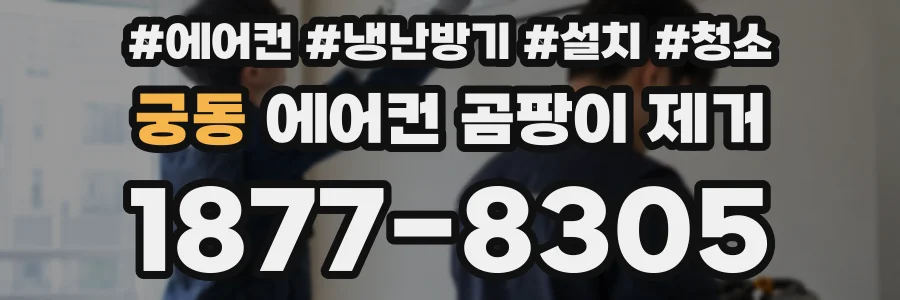 궁동 에어컨 곰팡이 제거