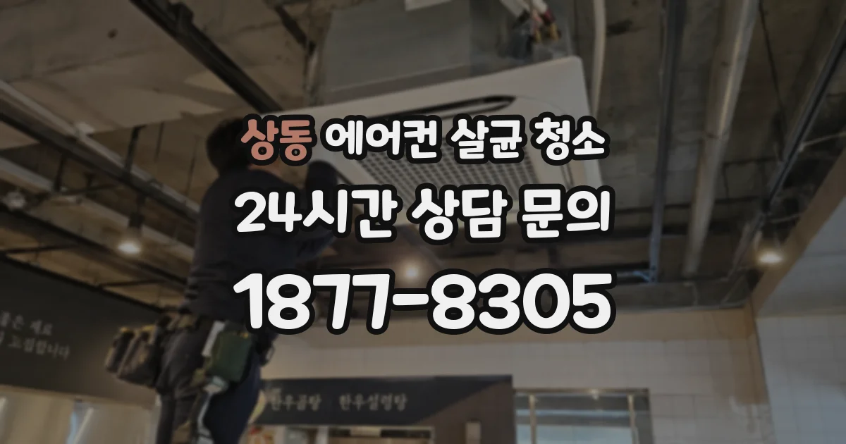 상동 에어컨 살균 청소