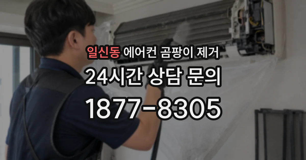 일신동 에어컨 곰팡이 제거