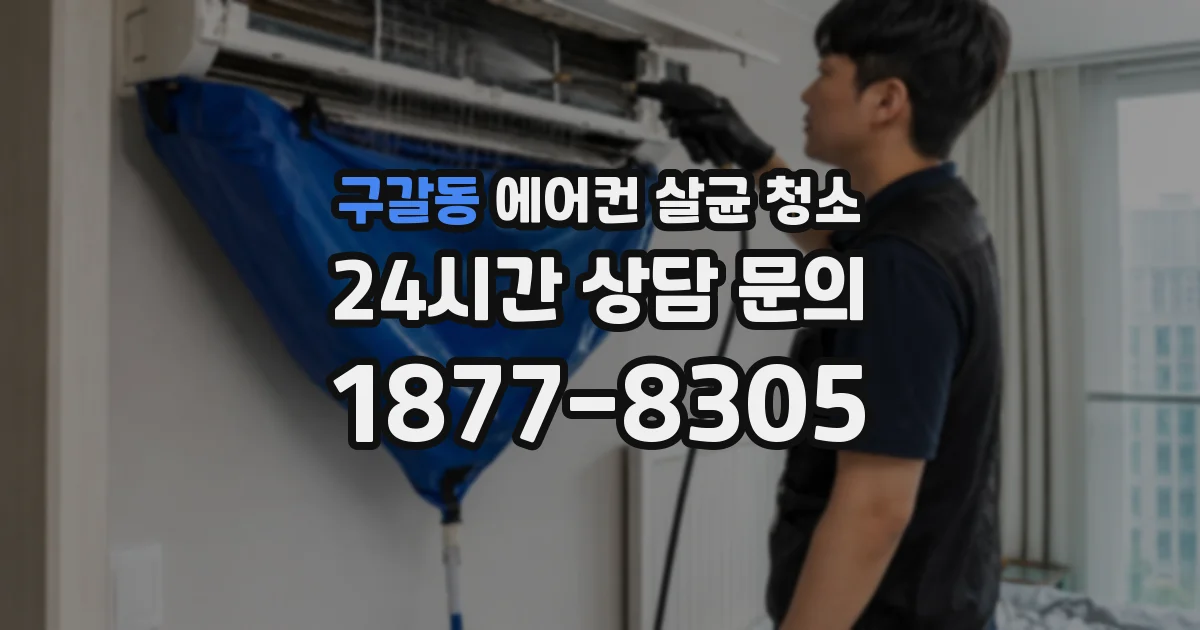 구갈동 에어컨 살균 청소