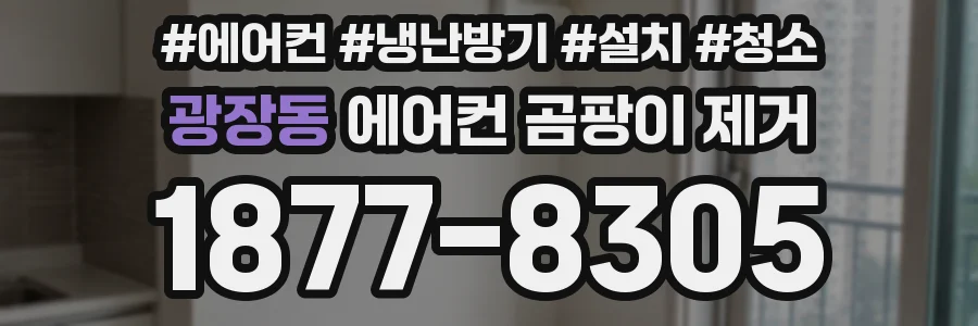 광장동 에어컨 곰팡이 제거