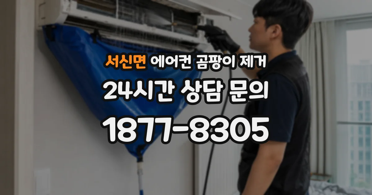 서신면 에어컨 곰팡이 제거