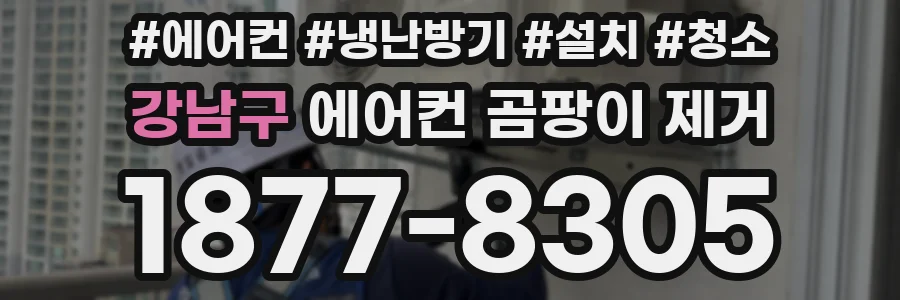 강남구 에어컨 곰팡이 제거