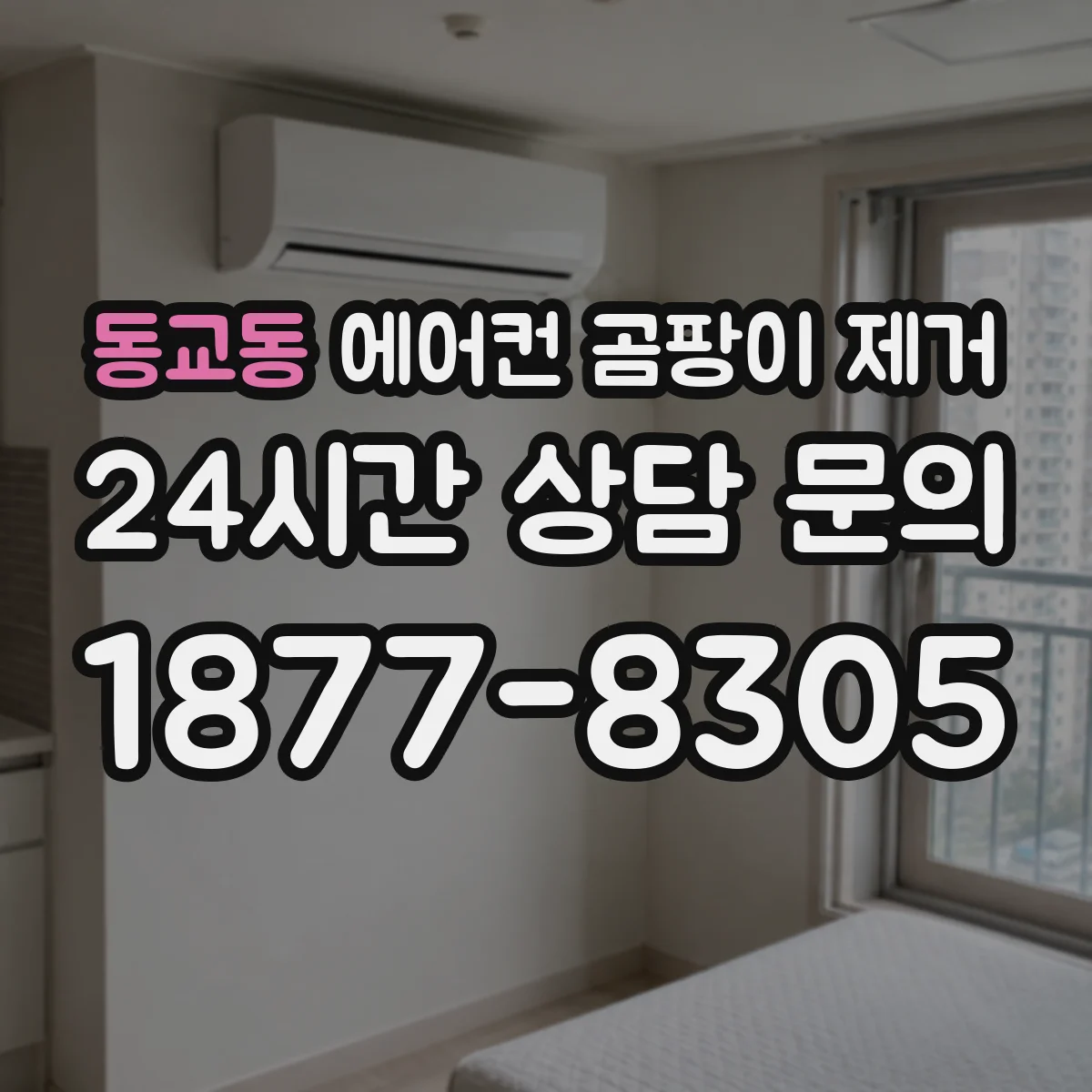 동교동 에어컨 곰팡이 제거