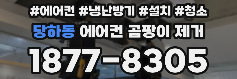 당하동 에어컨 곰팡이 제거