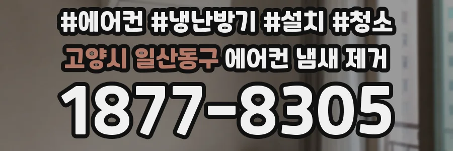 고양시 일산동구 에어컨 냄새 제거