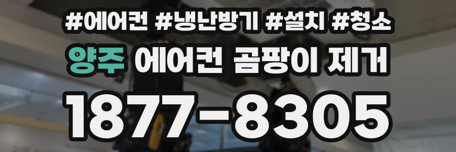 양주 에어컨 곰팡이 제거