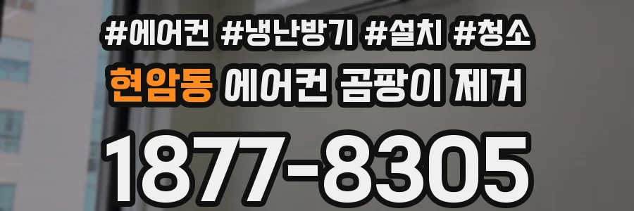 현암동 에어컨 곰팡이 제거