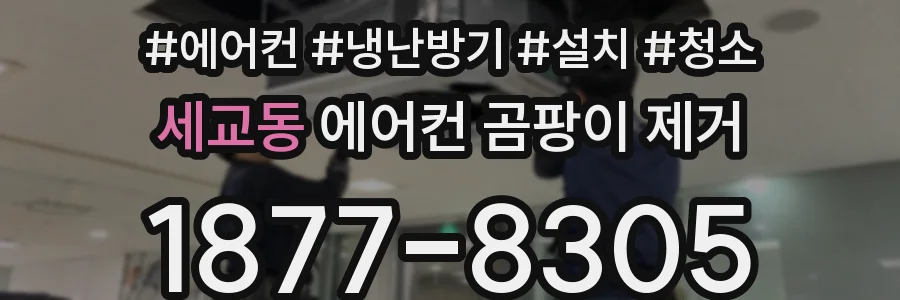 세교동 에어컨 곰팡이 제거