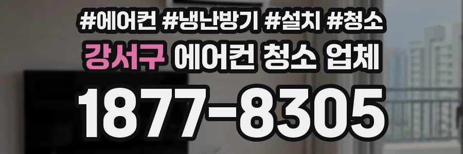 강서구 에어컨 청소 업체
