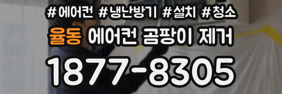 율동 에어컨 곰팡이 제거