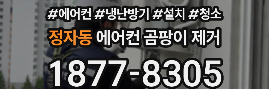 정자동 에어컨 곰팡이 제거