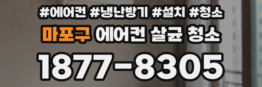 마포구 에어컨 살균 청소