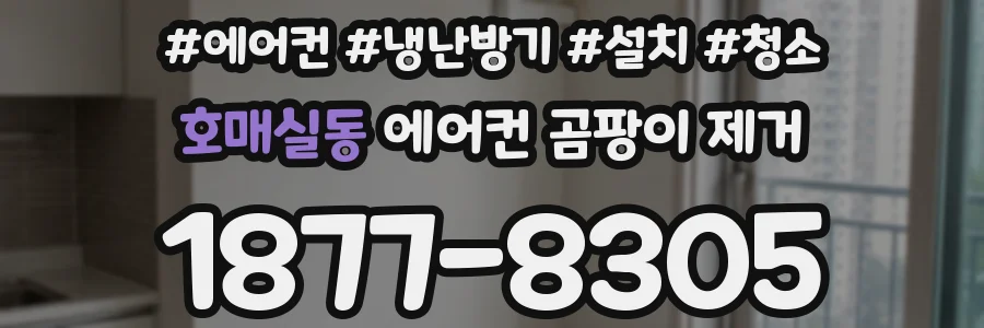 호매실동 에어컨 곰팡이 제거