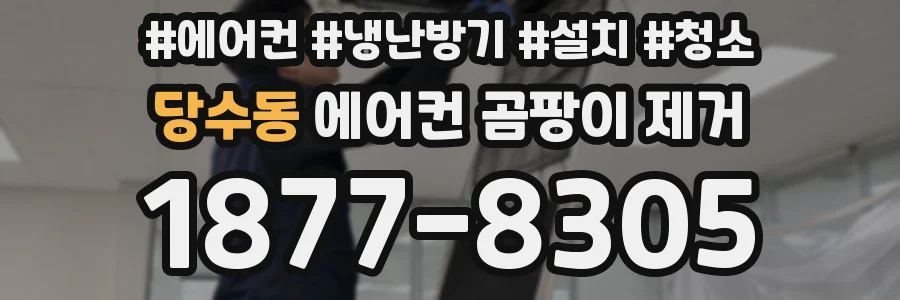 당수동 에어컨 곰팡이 제거