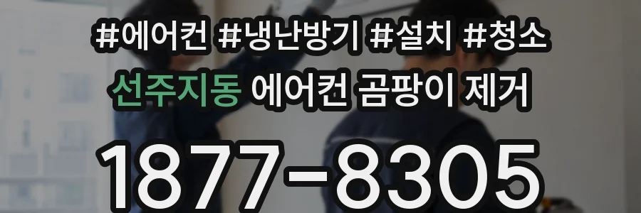 선주지동 에어컨 곰팡이 제거