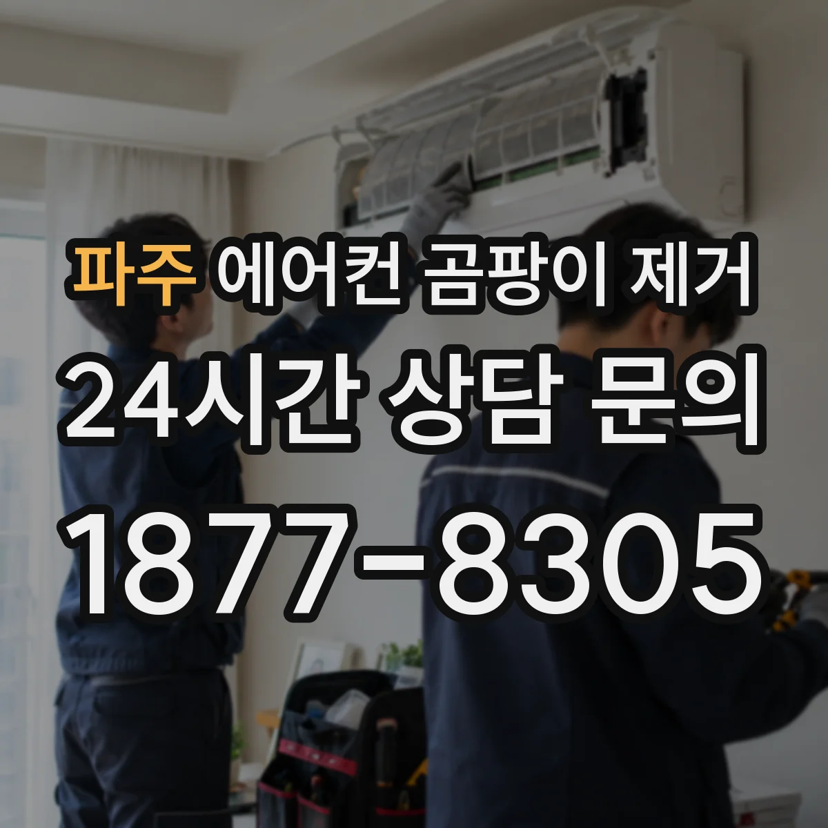 파주 에어컨 곰팡이 제거 스탠드형 곰팡이 냄새 잡는 분해 청소 구간