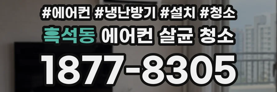 흑석동 에어컨 살균 청소