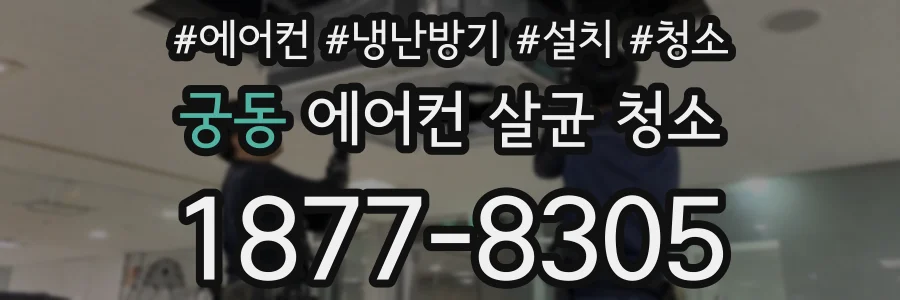궁동 에어컨 살균 청소