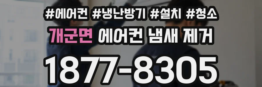 개군면 에어컨 냄새 제거