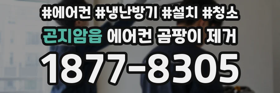 곤지암읍 에어컨 곰팡이 제거