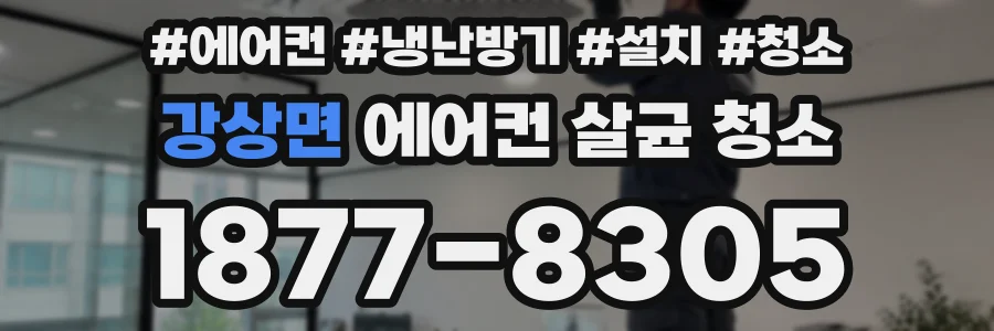 강상면 에어컨 살균 청소