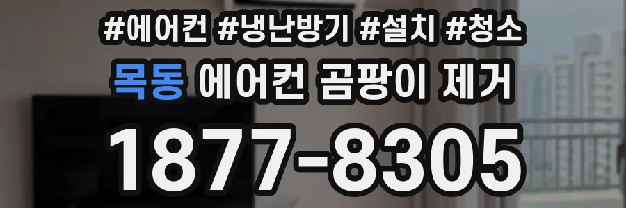 목동 에어컨 곰팡이 제거
