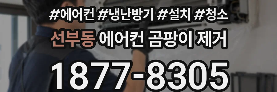 선부동 에어컨 곰팡이 제거